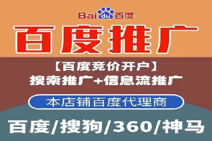 百度竞价策略解析：案例分析及优化建议